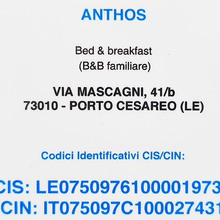 Bed Anthos Porto Cesareo住宿加早餐旅馆 外观 照片